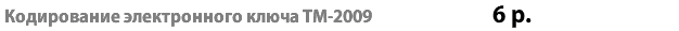 Кодирование электронного ключа ТМ-2009 6 р.